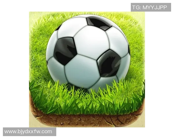 乌龟与足球明星的奇妙联结揭秘你不知道的故事与传说