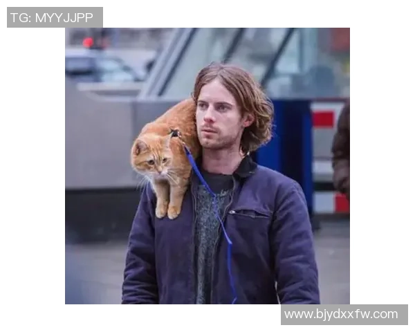 流浪的足球明星背后的故事与奋斗历程揭秘