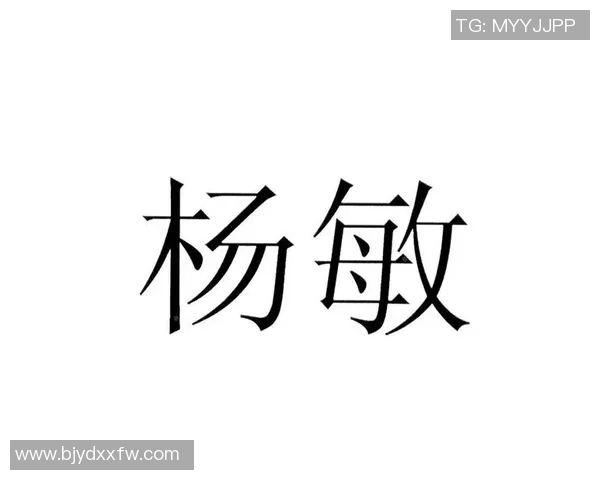 对话杨敏：谈足球生涯