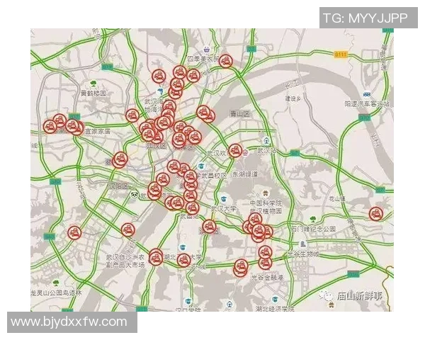 独家分析：武汉乒乓球队的灵活性对比